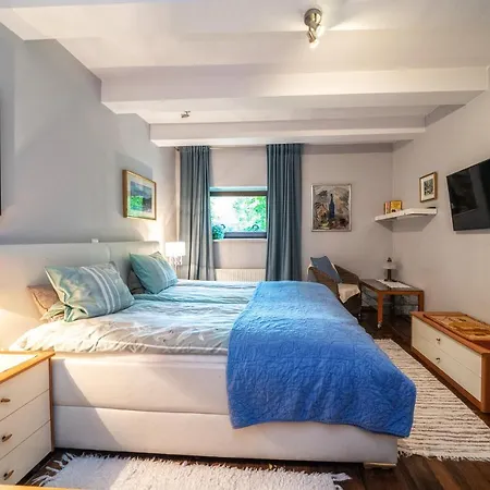 Apartament Toma *