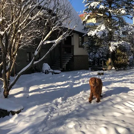 Apartament Chata Toma Lejlighed *