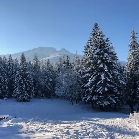 Apartament Toma Zakopane